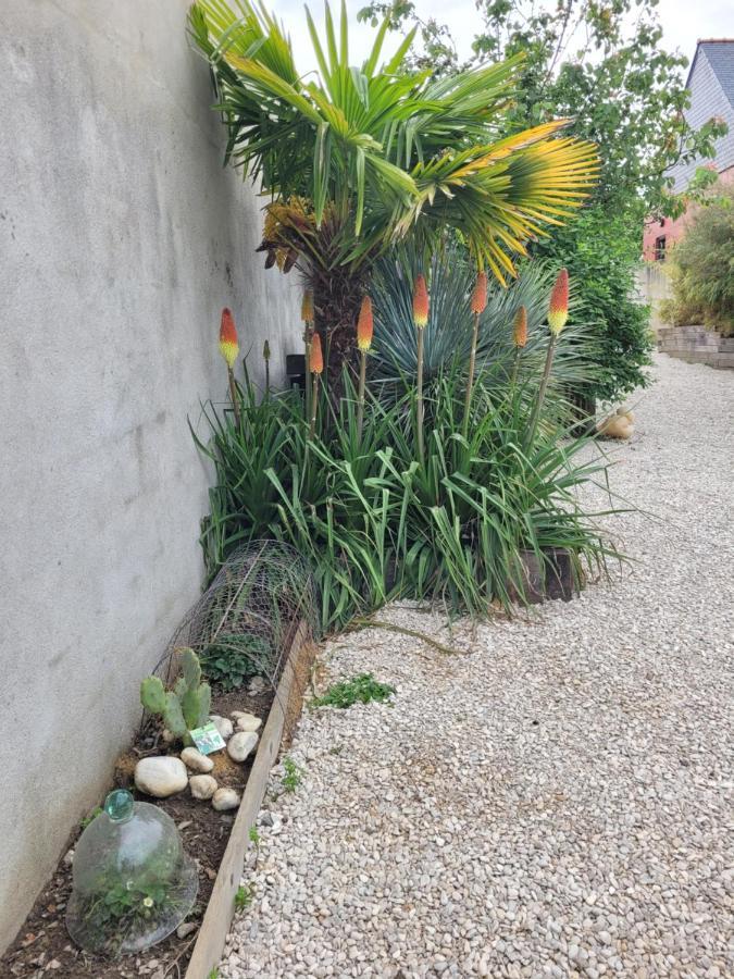 Tiny House Cosy 2 - Angers Green Lodge Ngoại thất bức ảnh